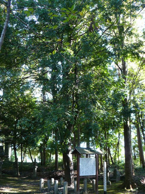 �����_��