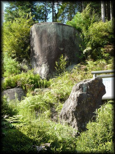 ���j����c���̃A���O���ŎB�e�����摜