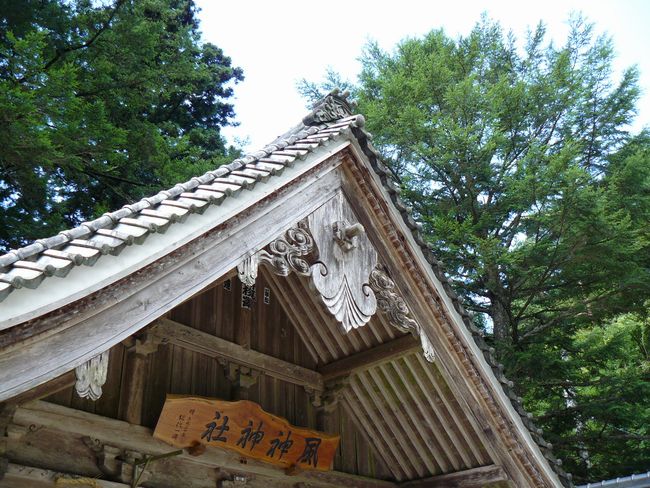 ���_�_��