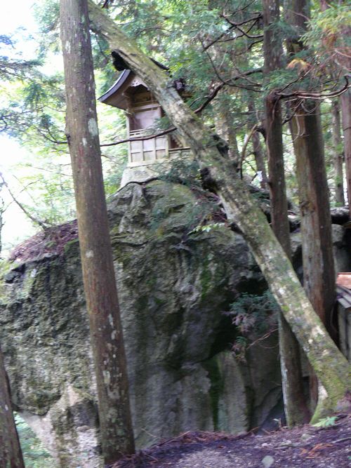 ���_�_��