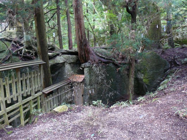 ���_�_��