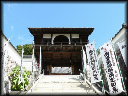 東円寺の参道石段から見た山門とのぼり旗