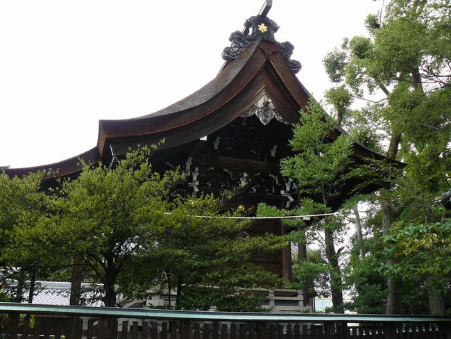 �����_��