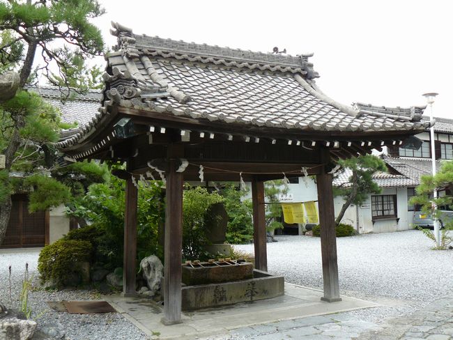 �����_��