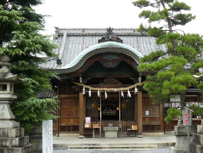 �����_��