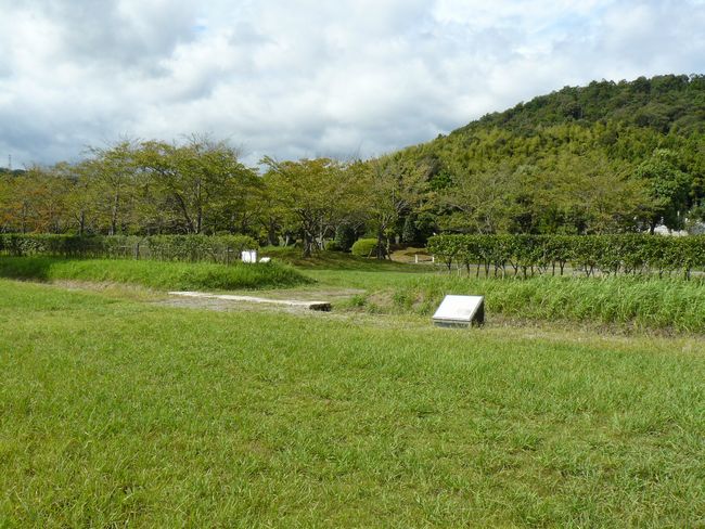 �����Z��������