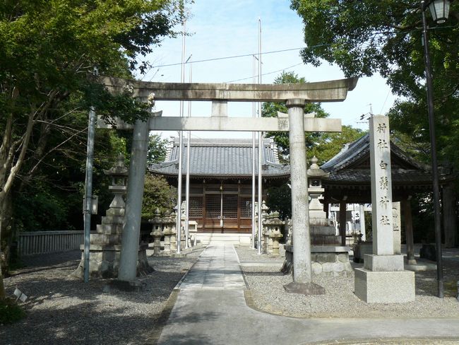 �n������