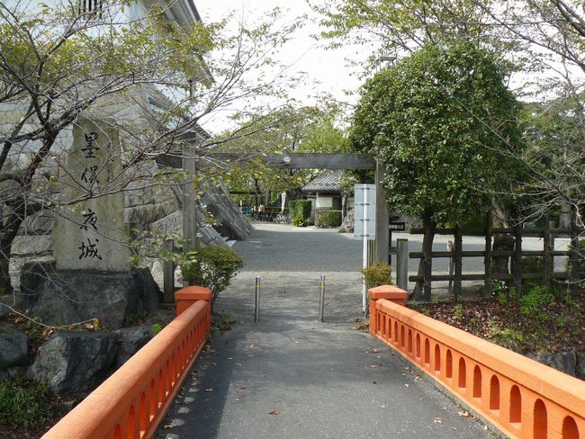 �n������