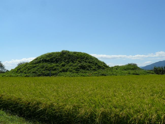 ��o���Õ�