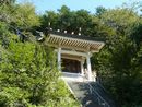 来振神社拝殿背後の高台に鎮座している本殿