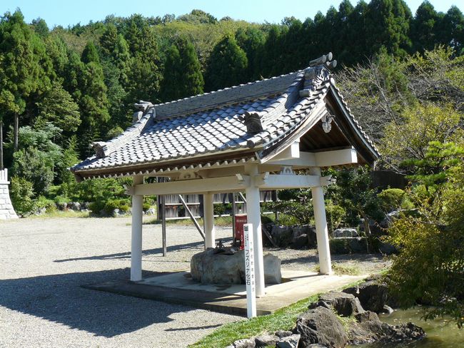 ���U�_��