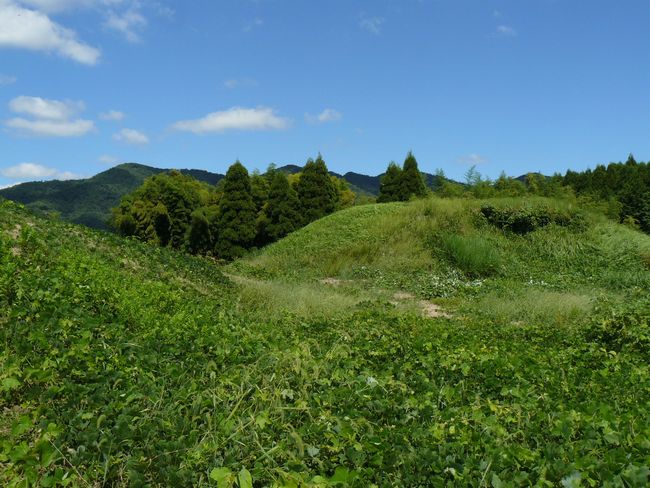 �쉮�~���Õ�