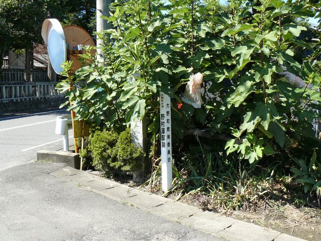 �쑺�˓@���