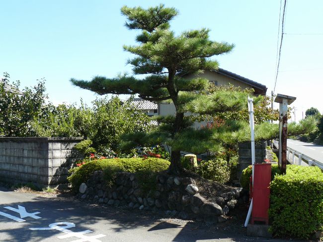 �쑺�˓@���