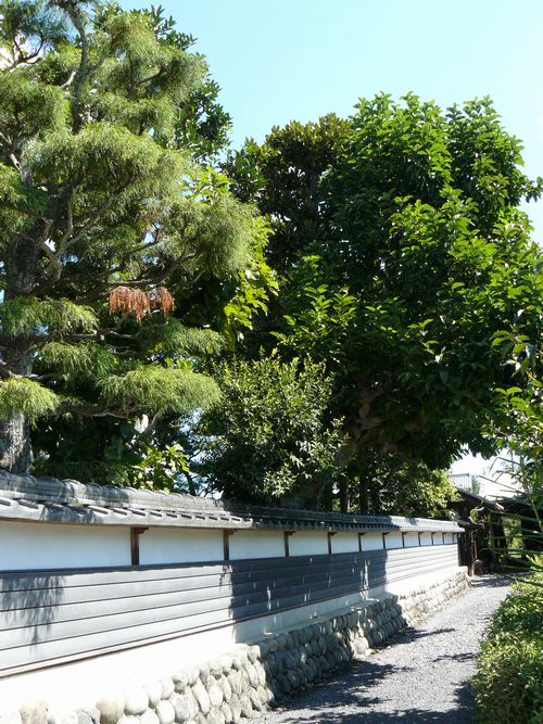 �쑺�˓@���