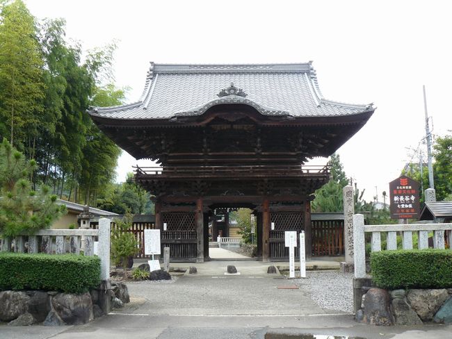 �V���J��