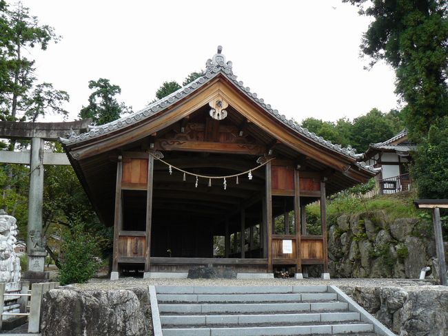 ���|�����{