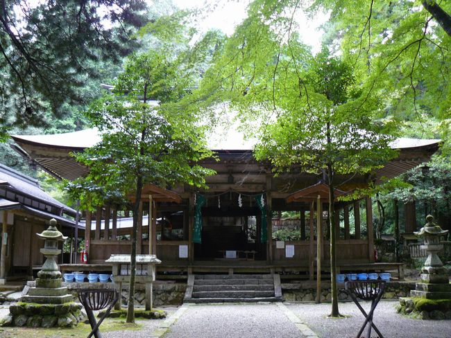 ���|�����{