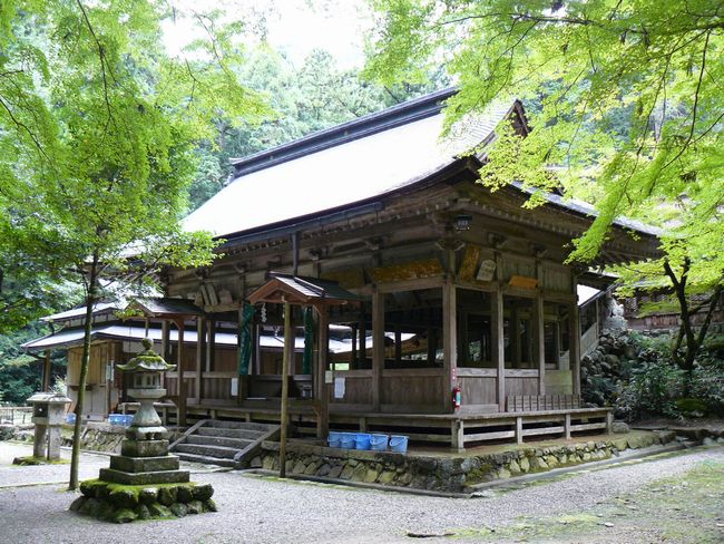 ���|�����{