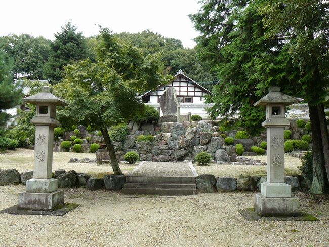 ���d���V��