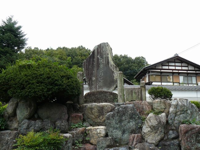 ���d���V��