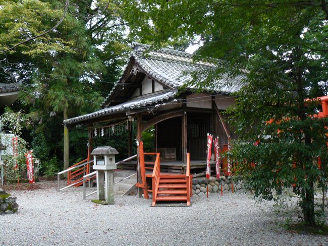 �t���_��