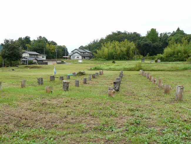 ���ӎ����Ɉ��