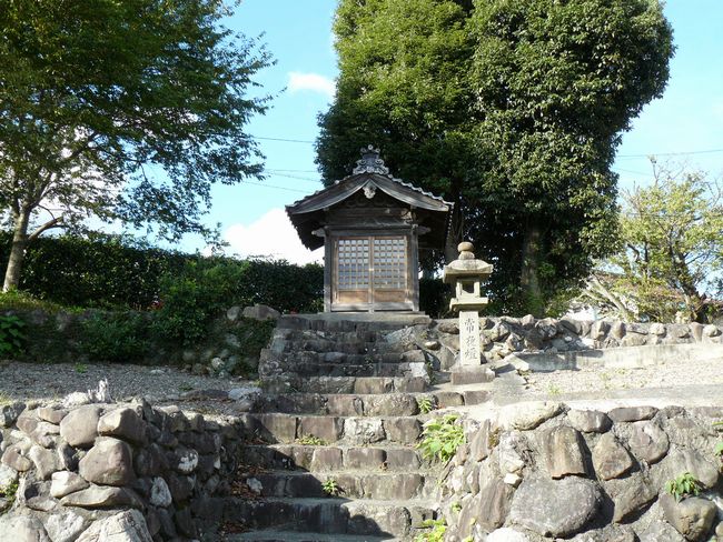 �փ������E�s�j��