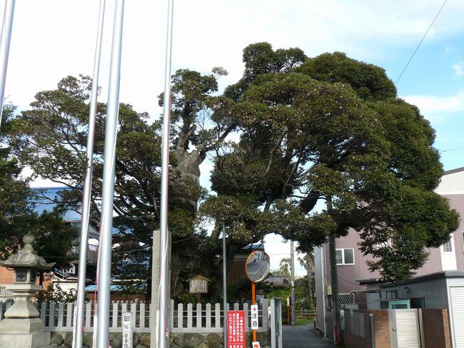 �փ������E�����_��