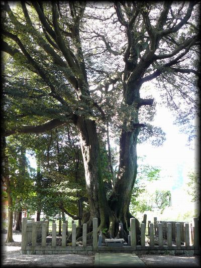 東首塚に竹中家が築いた供養塚を撮った写真