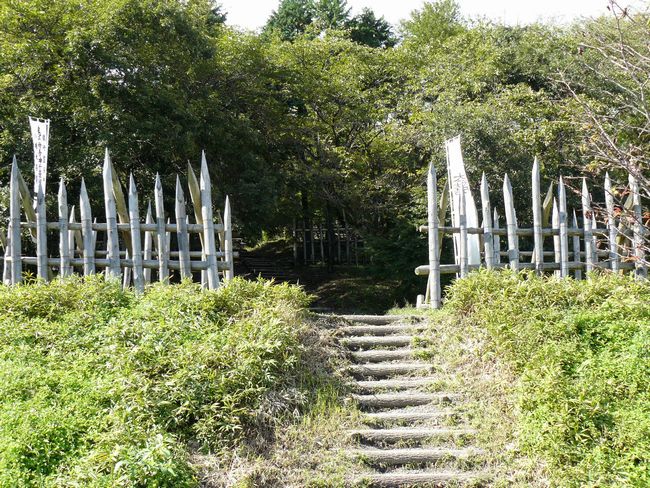 �փ������E�Γc�O���w��