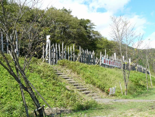 �փ������E�Γc�O���w��