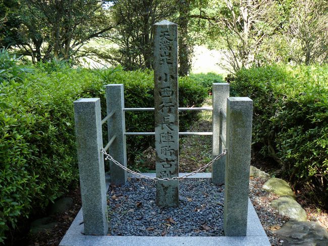 �փ������E�����s���w��