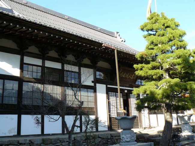 �փ������E������