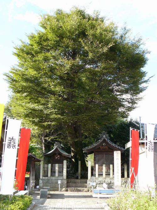 �փ������E�����