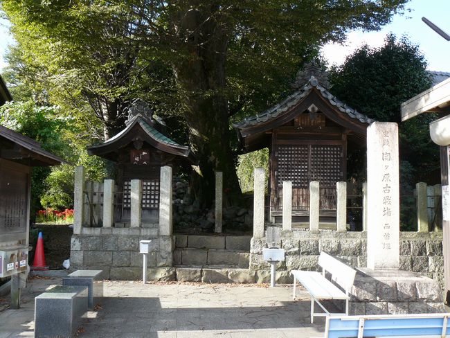 �փ������E�����