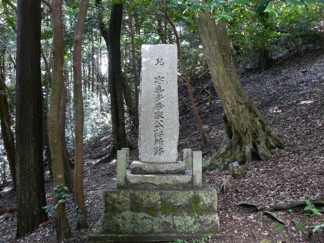 �փ������E�F�쑽�G�Ɛw��