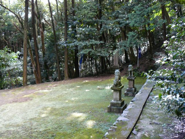 �փ������E�F�쑽�G�Ɛw��