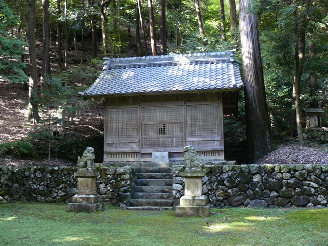 �փ������E�F�쑽�G�Ɛw��