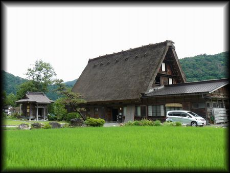 白川郷：神田家住宅を田圃越に撮影した写真