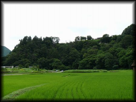 ���싽�F����������ڂ���c�މz���ɎB�e�����S�i�摜