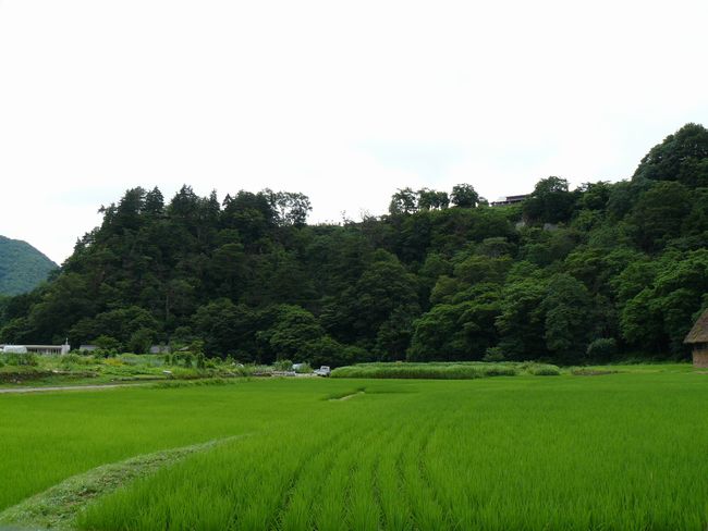 ������E�S�i