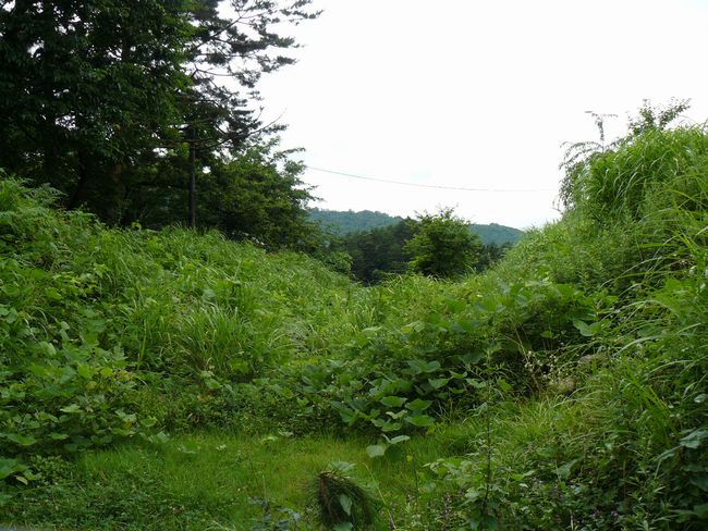 ������E�x��