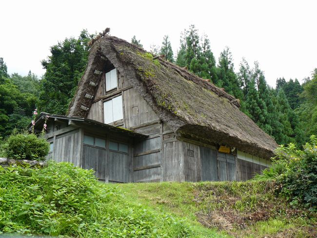 �����ƏZ��