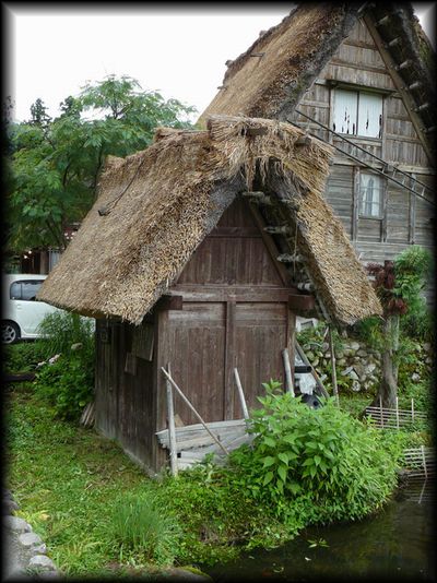 ���싽�F���P��̑S�i���B�e�����摜