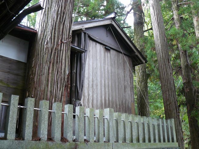 ���R�s�E�`���_��