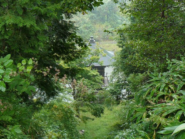 ���R�s�E�嗲��