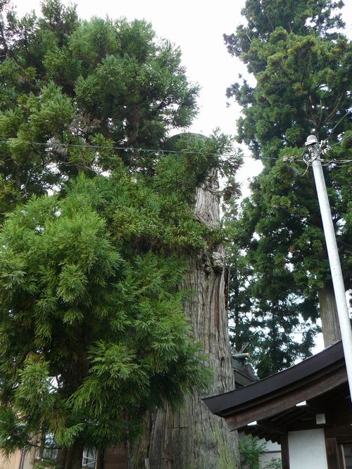 ���R�s�E��{�����R�_��