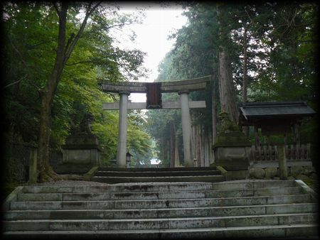 日枝神社参道石段から見上げた石鳥居