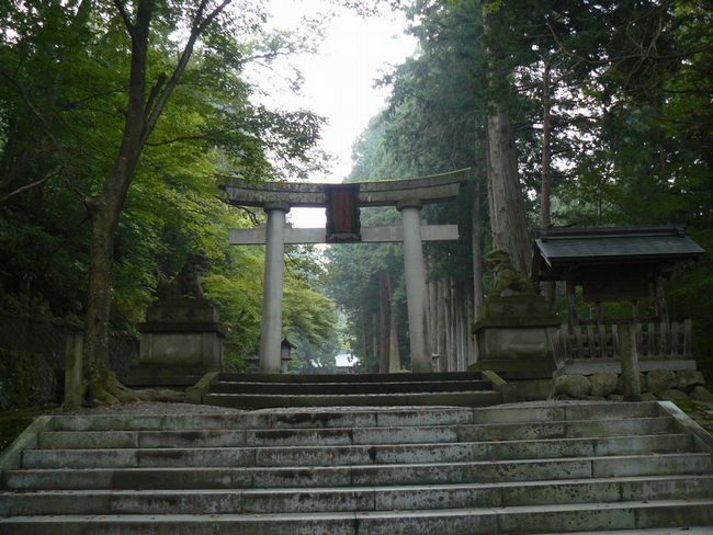 ���R�s�E���}�_��